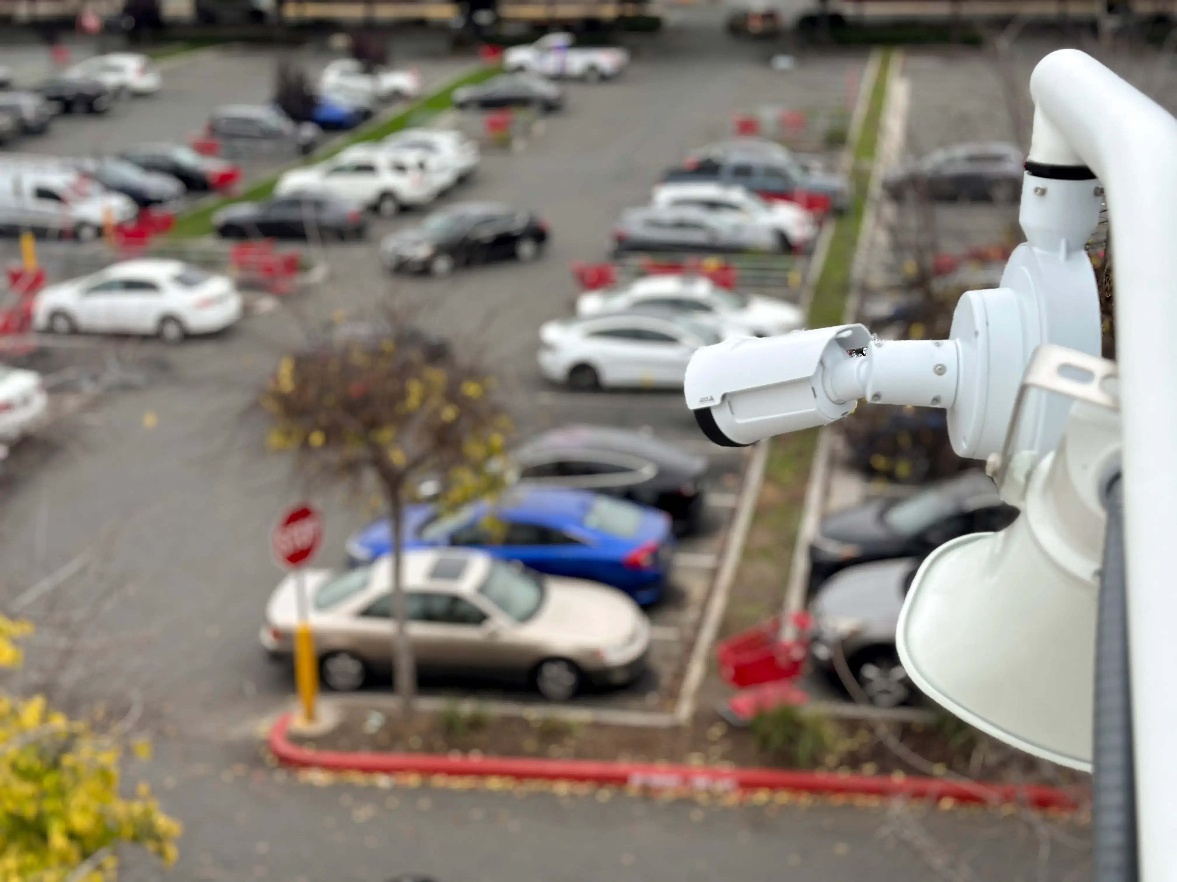 Peninsula Shopping Center Surveillance - Proava Tech Peninsula shopping center surveillance and LPR camera installation by Proava Tech - AXIS IP cameras, multi-building network photo 5